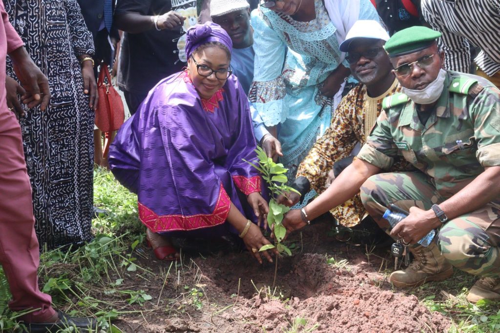 Reboisement au CRRA à Sotuba :